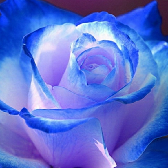 lauralee0718
